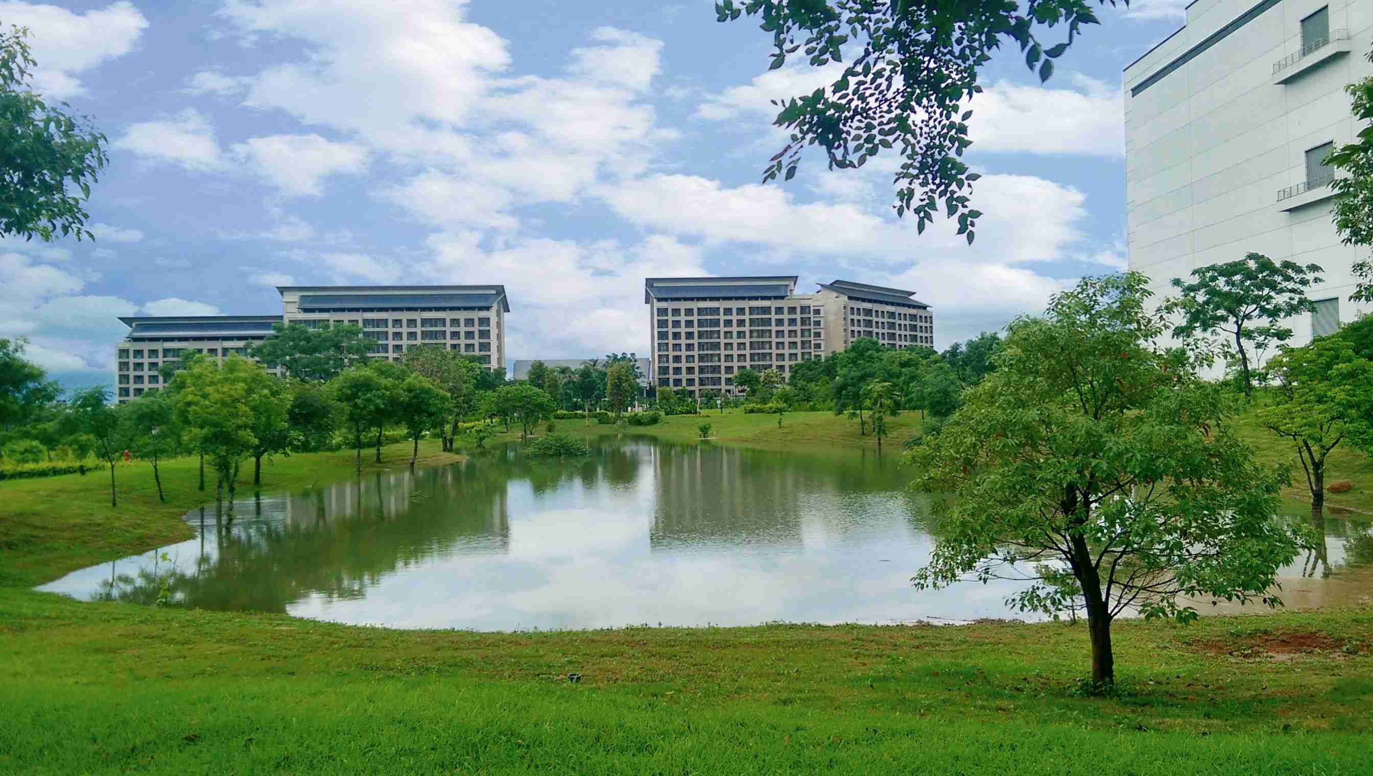 尊龙z6响应国际倡议生物多样性趋势，，首次发布TNFD自然相关财务揭露报告书，，，，擘划及开展尊龙z6生物多样性政策之承诺，，，逐步迈向与自然和谐共生